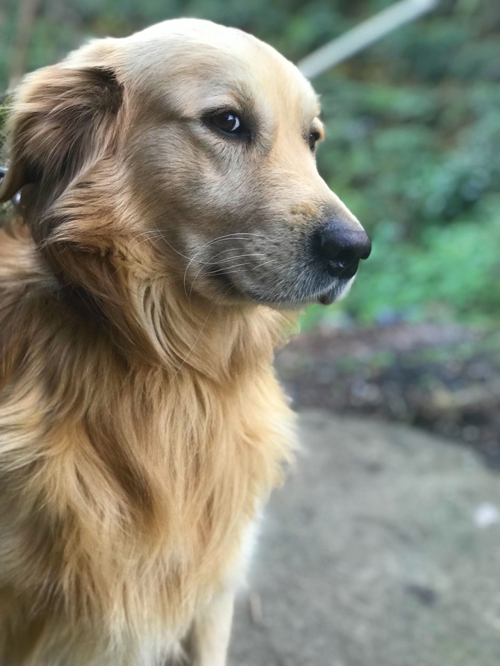 Paşa❤️