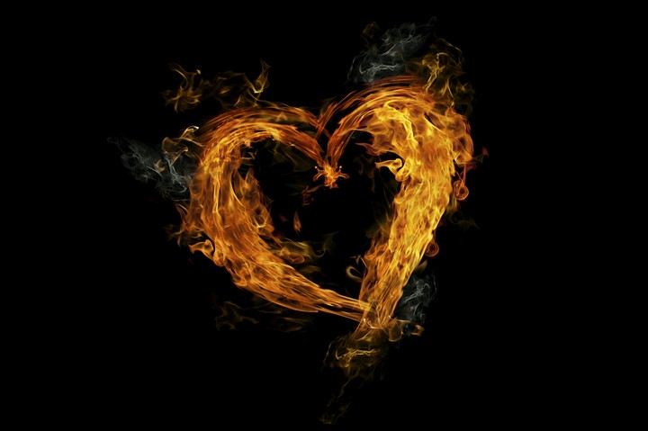 Heart