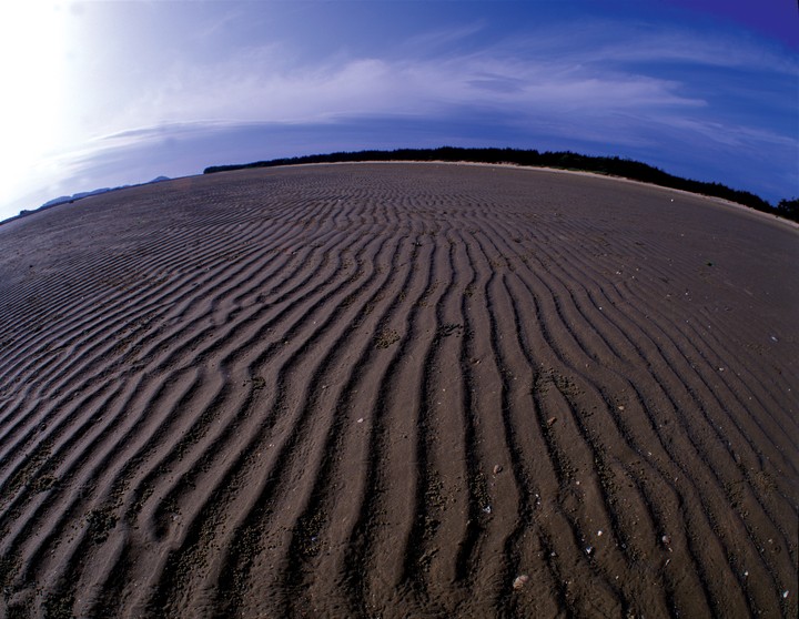 Scenics