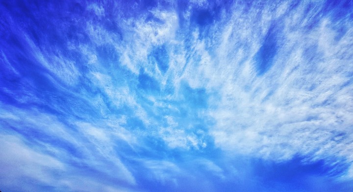 Sky Have Wings