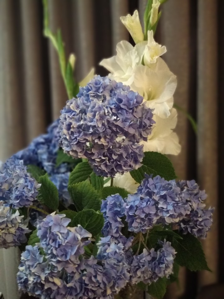 colours