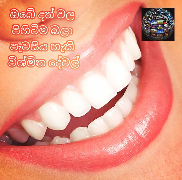 දත්