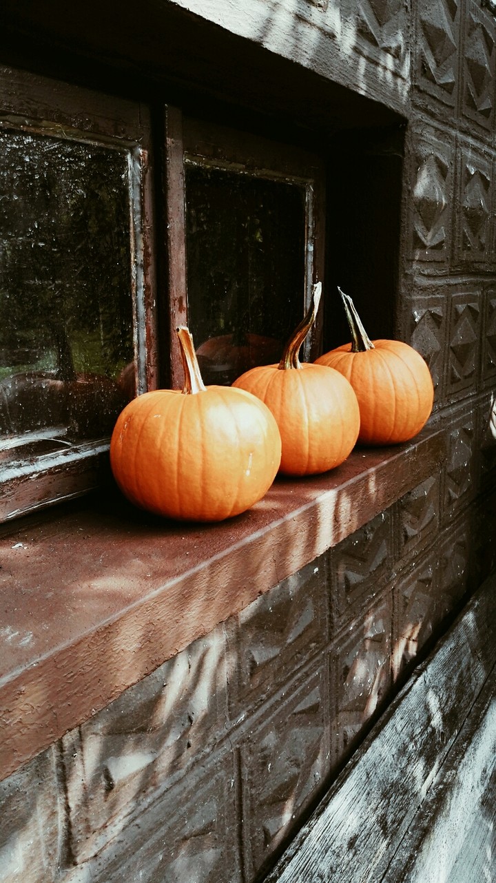autumn