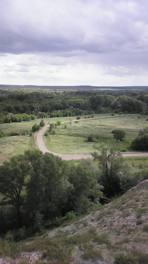 дорога