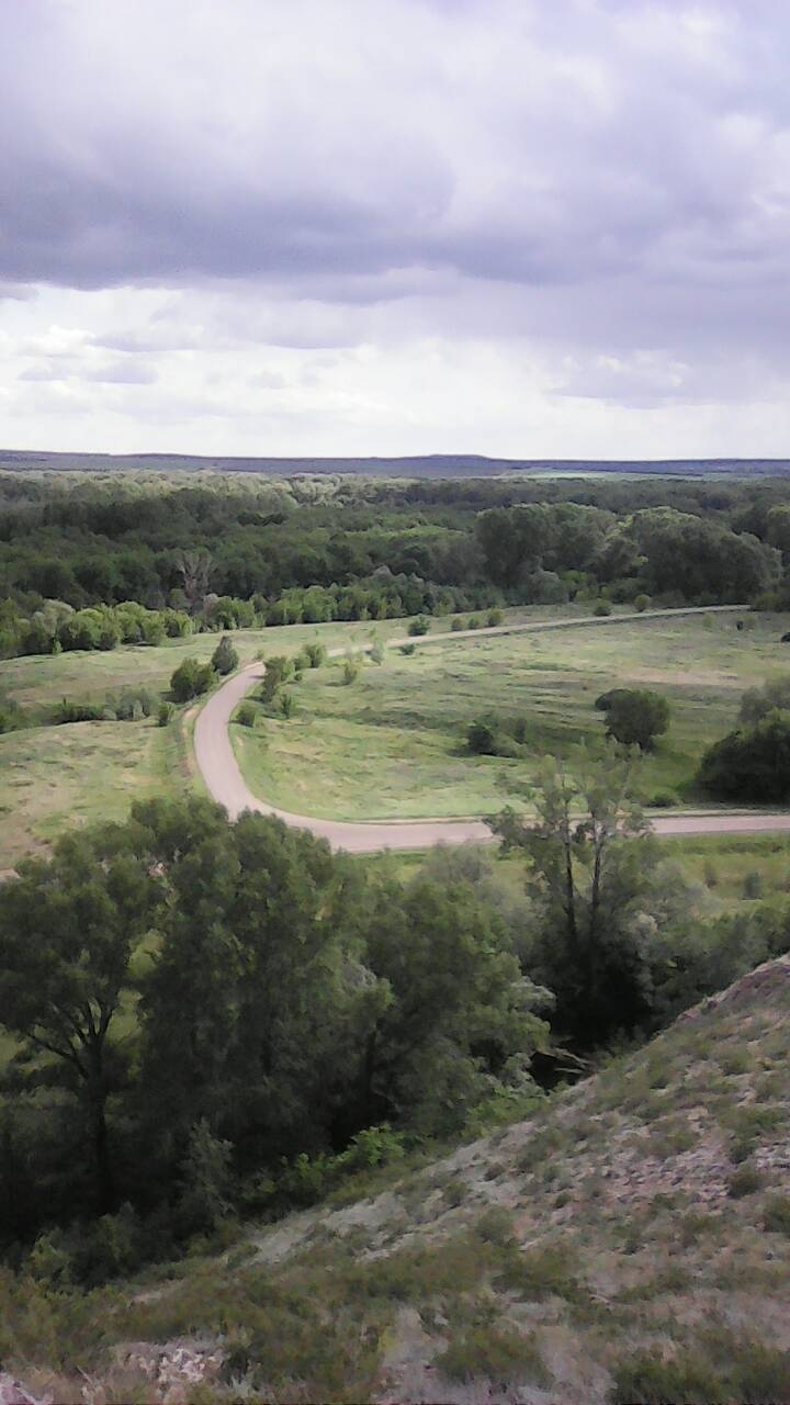 дорога