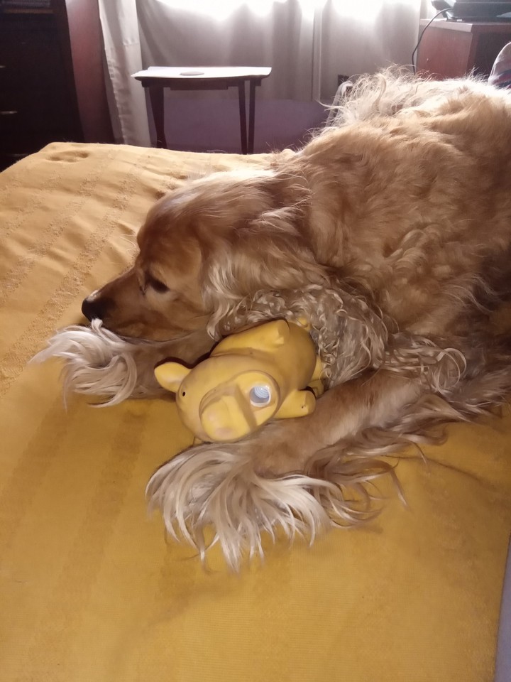 Cuidando mi juguete ?