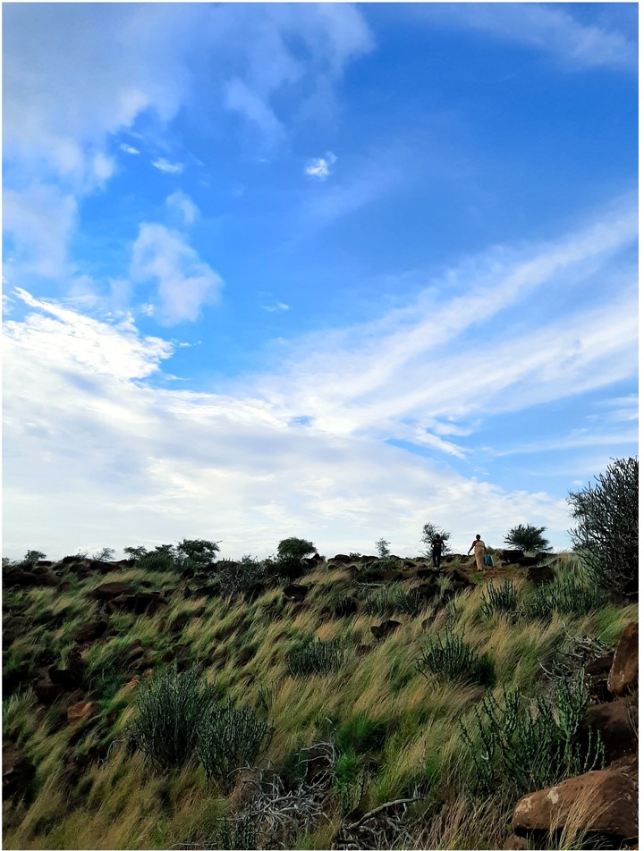land above