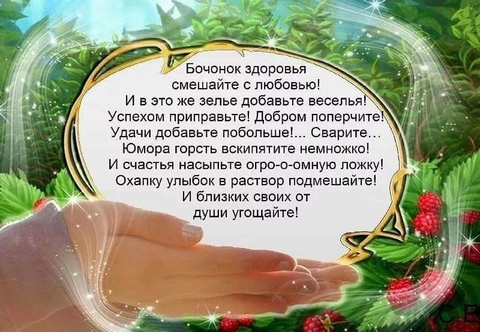 жизнь