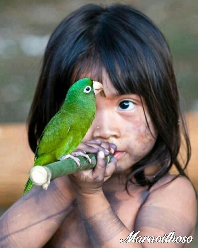 LINDO DEMAIS