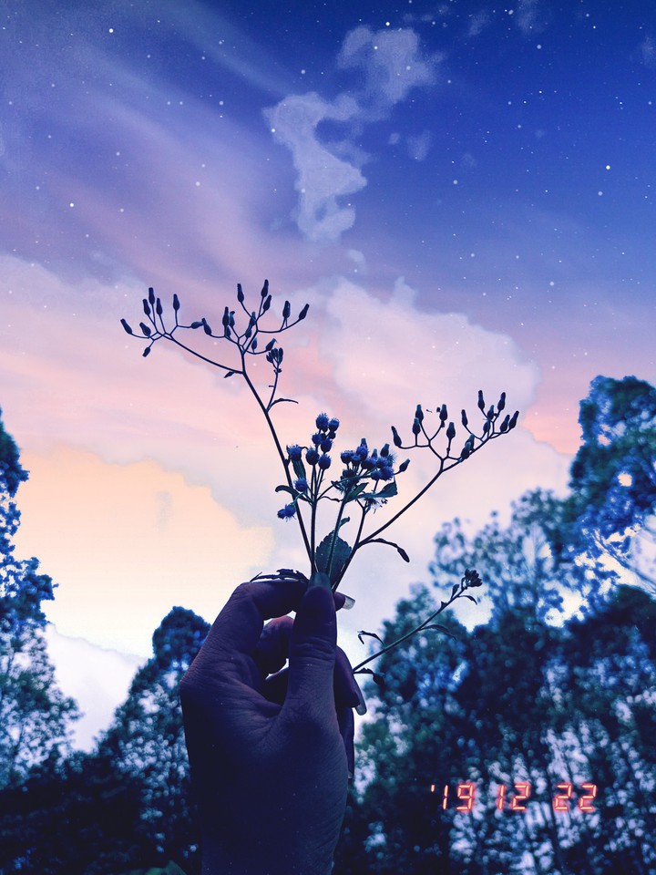 Love Sky