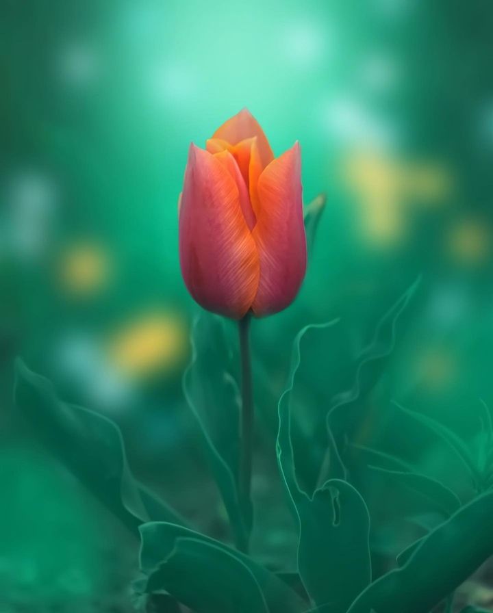23/06/2021⚘