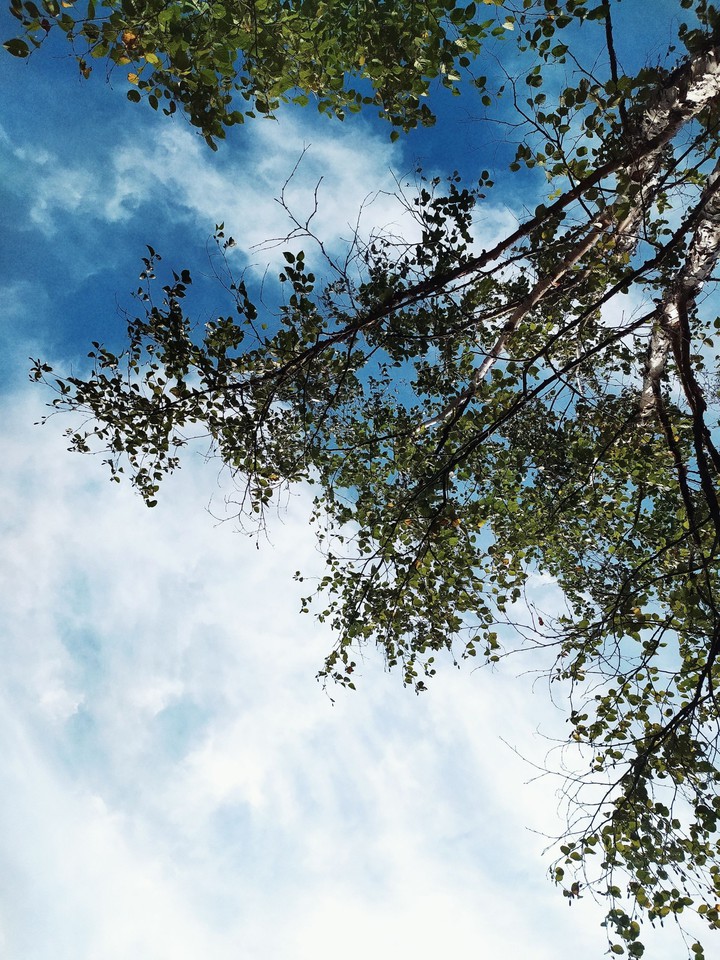 Summer day
