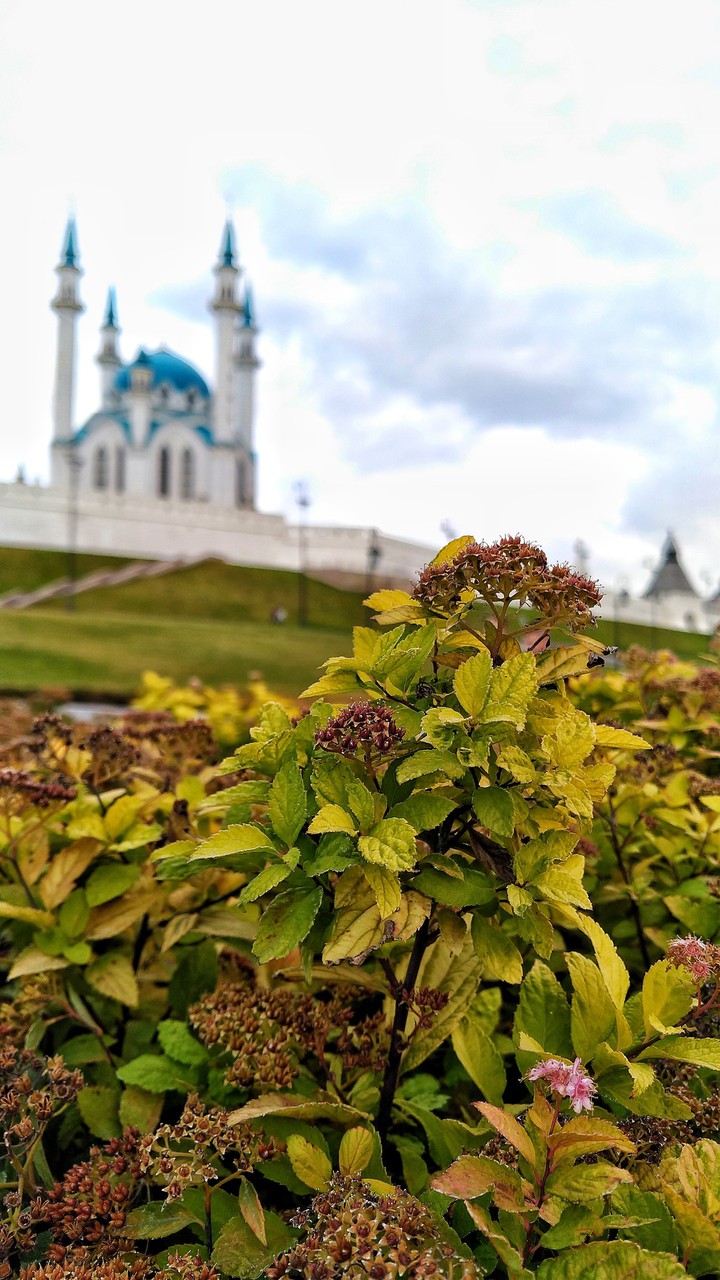 Kazan