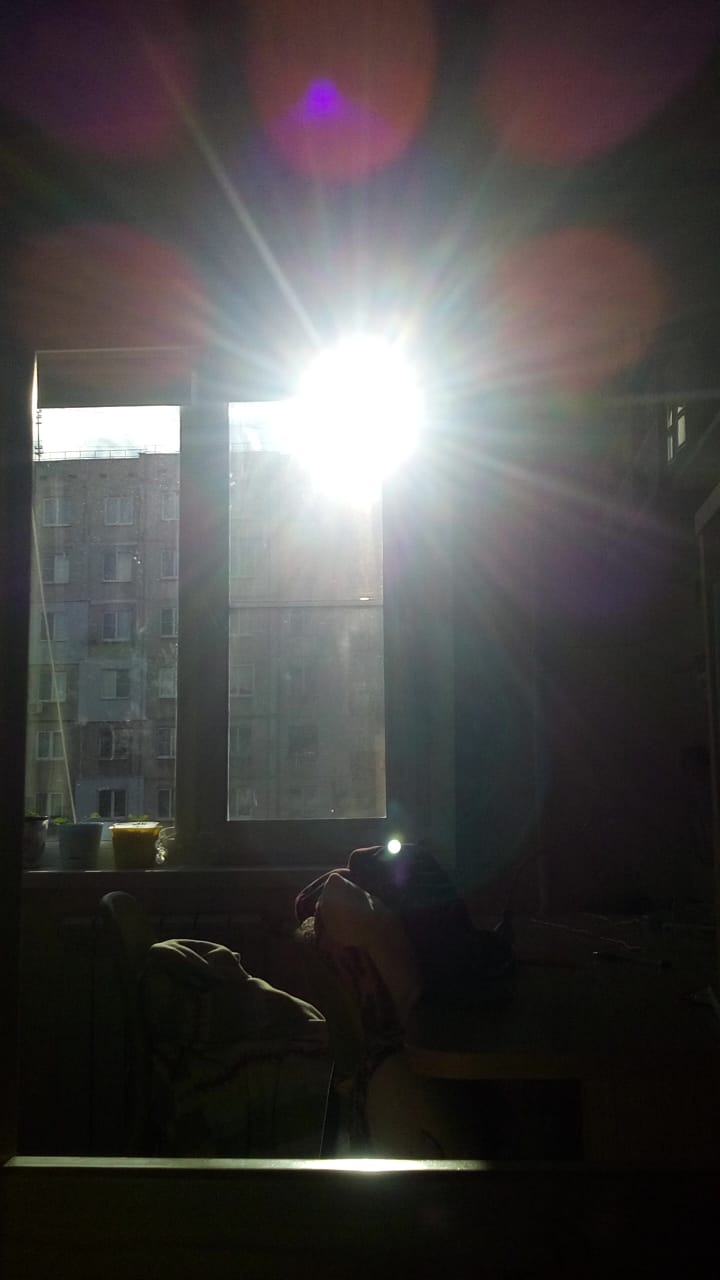 Sunlight
