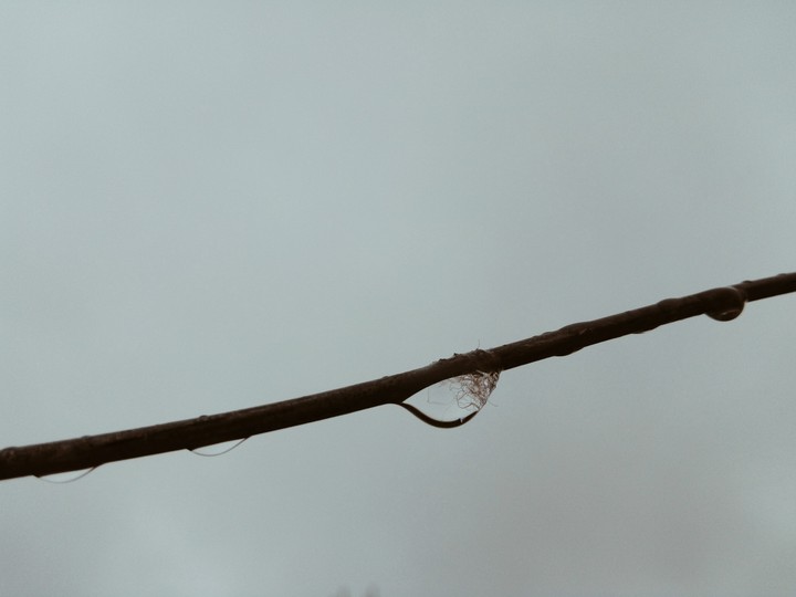 Rain Drop
