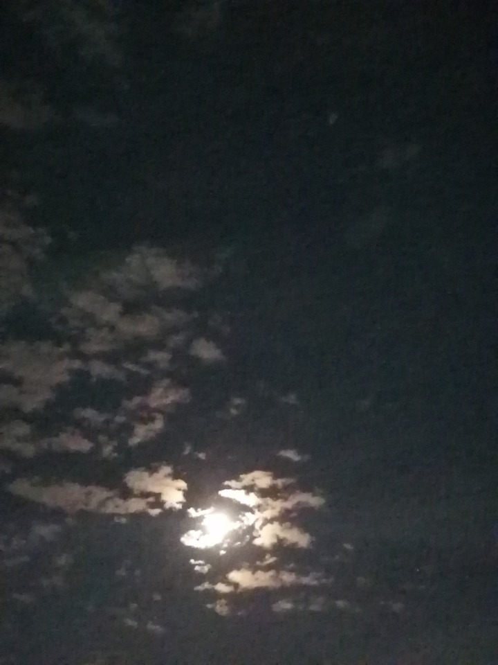 Moon