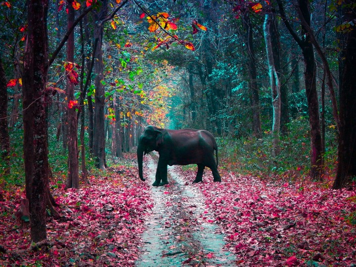 Autumn