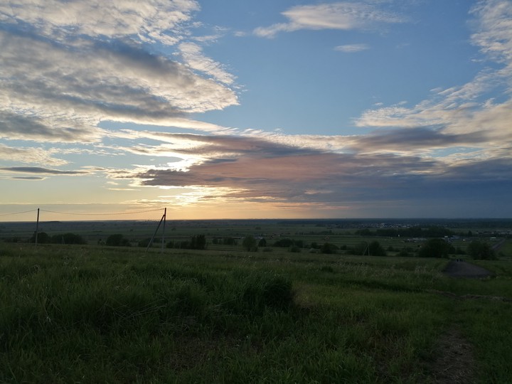 вечернее поле