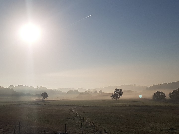 Nebel