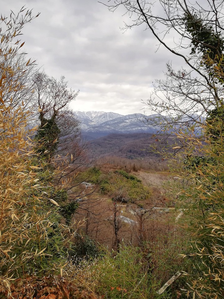 Mountains.