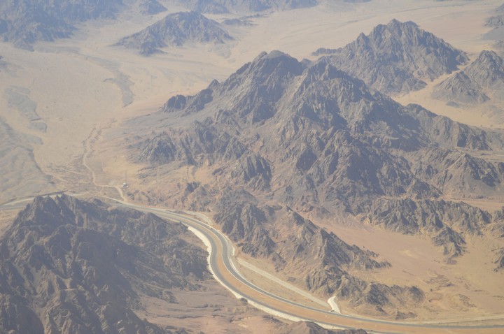 life in desert