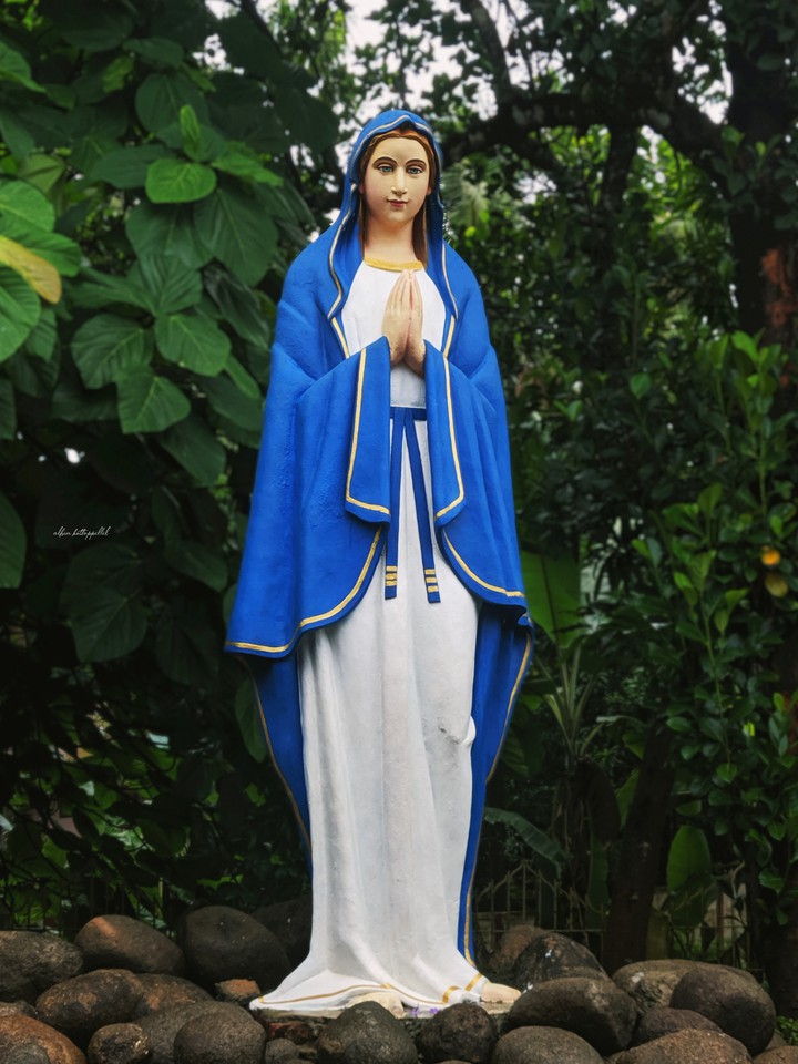Virgin Mary
