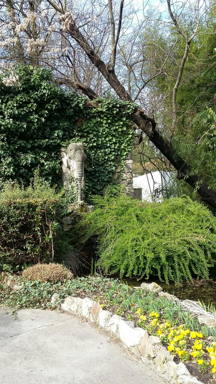 spring
