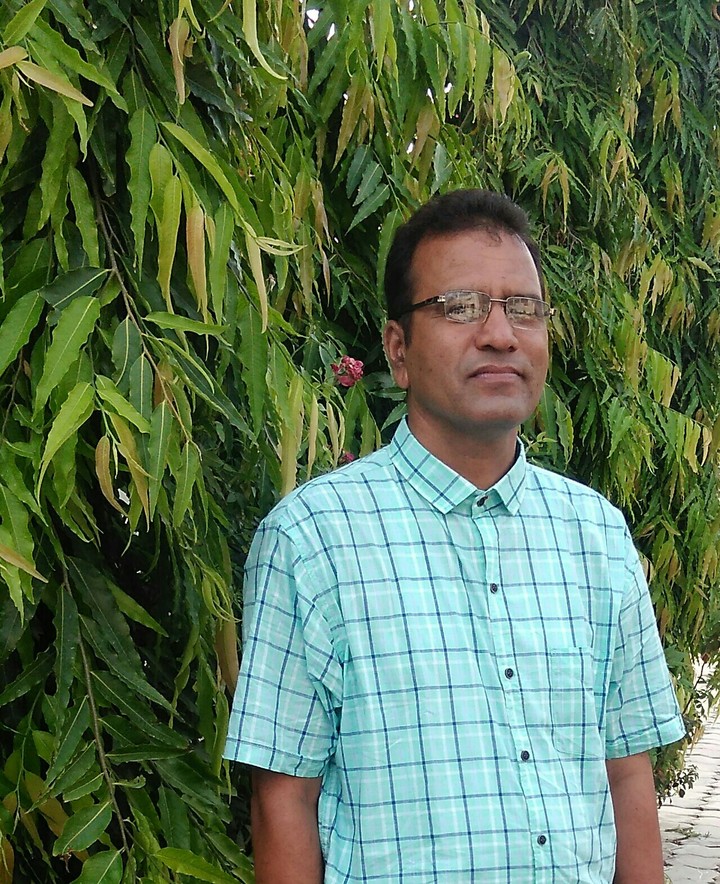 save trees