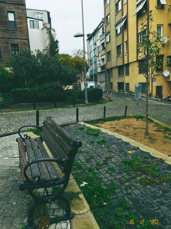 bench and the winter