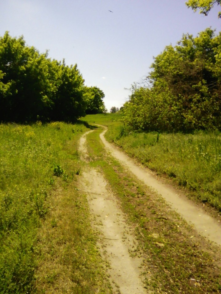 дорога