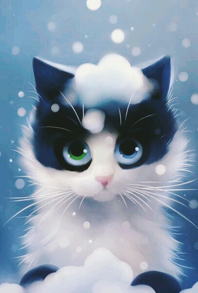 snow