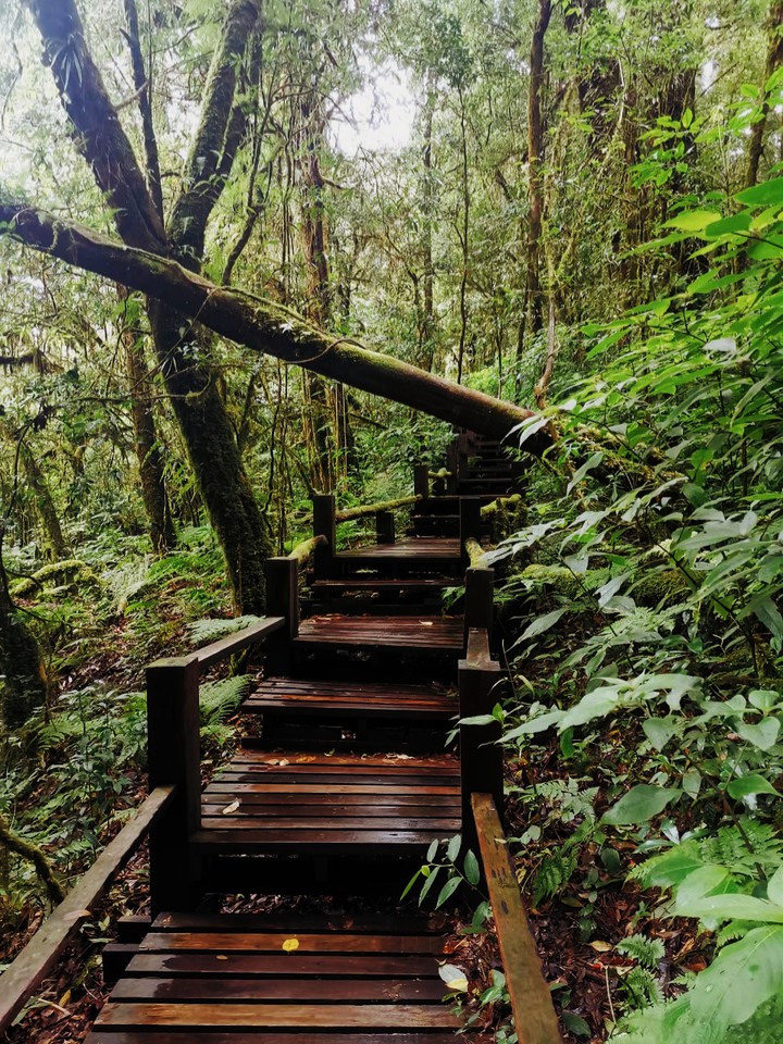 nature