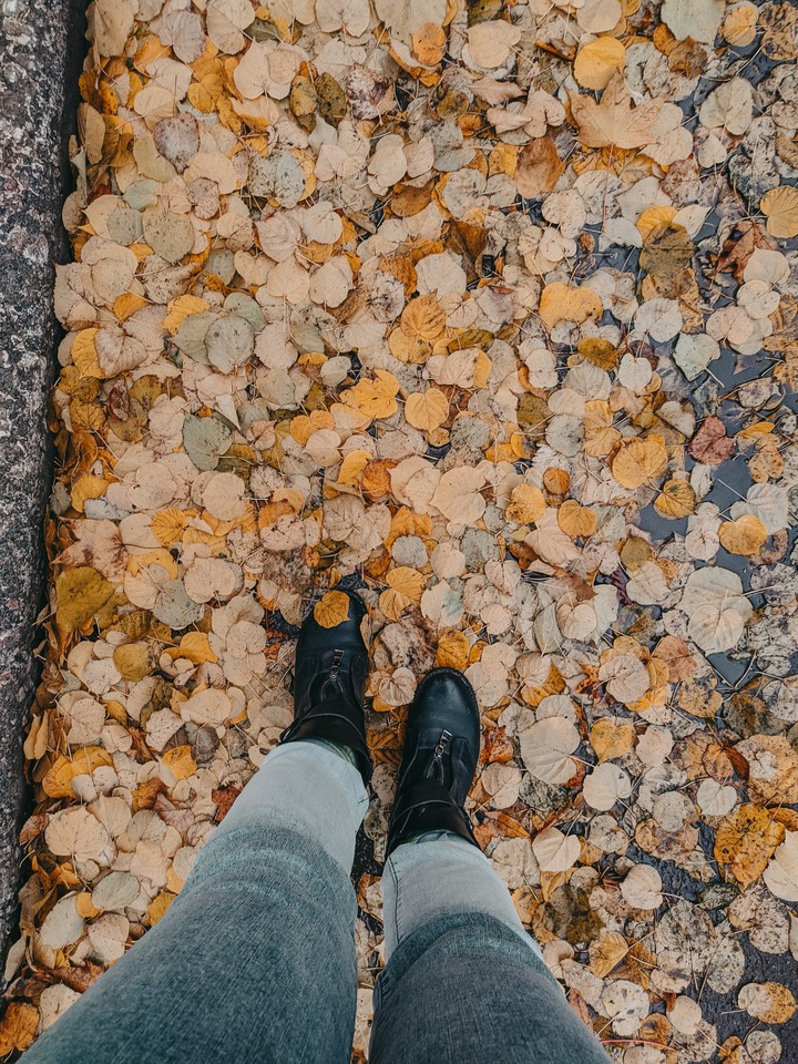 leaves