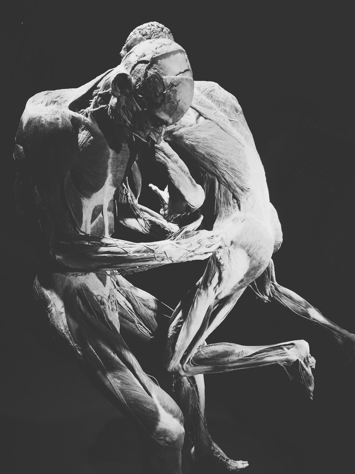 Human Vulnerability