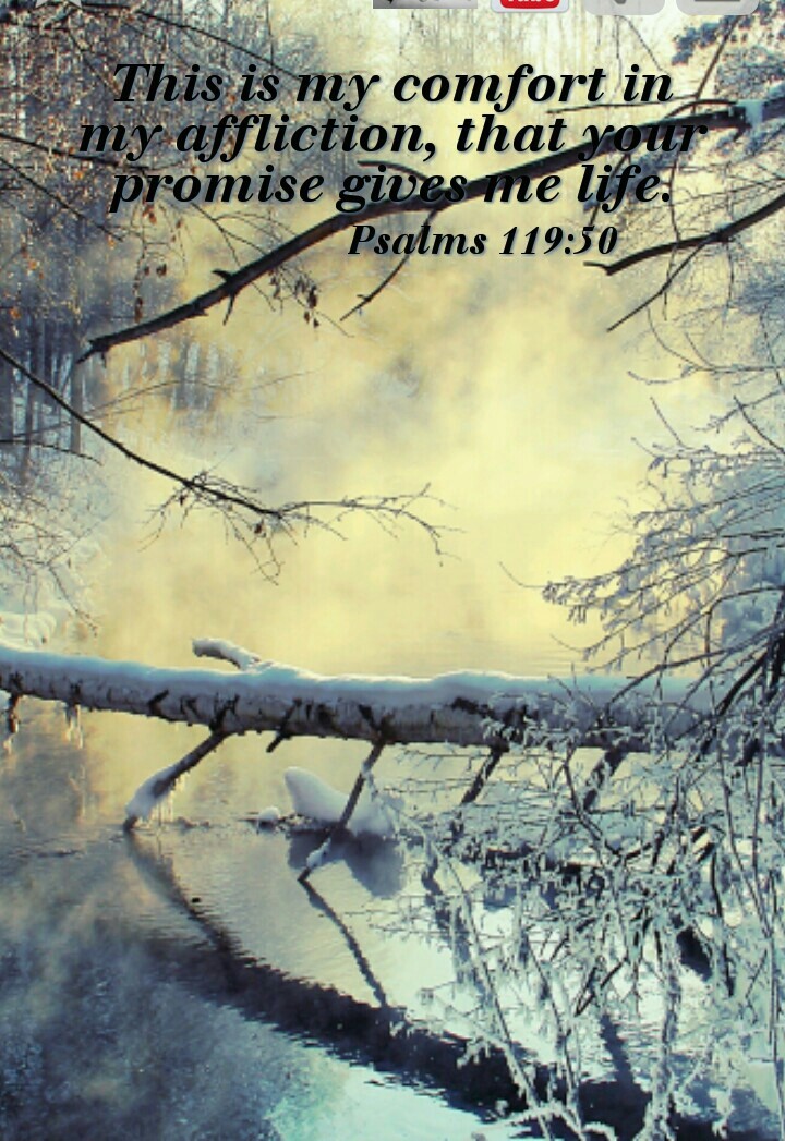 Bible pictures