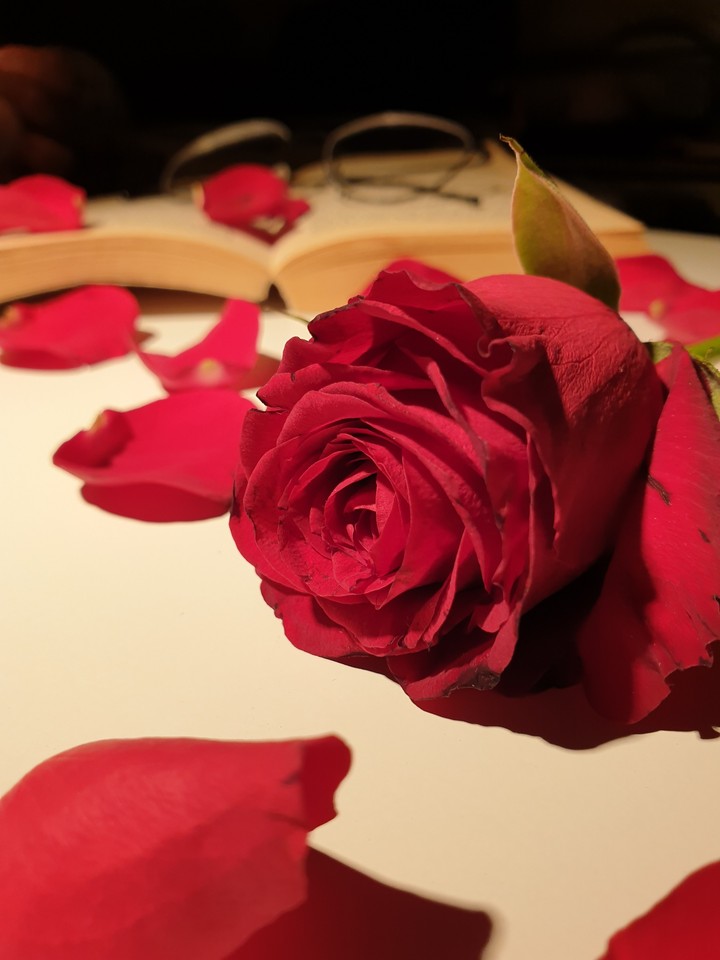 flower and book