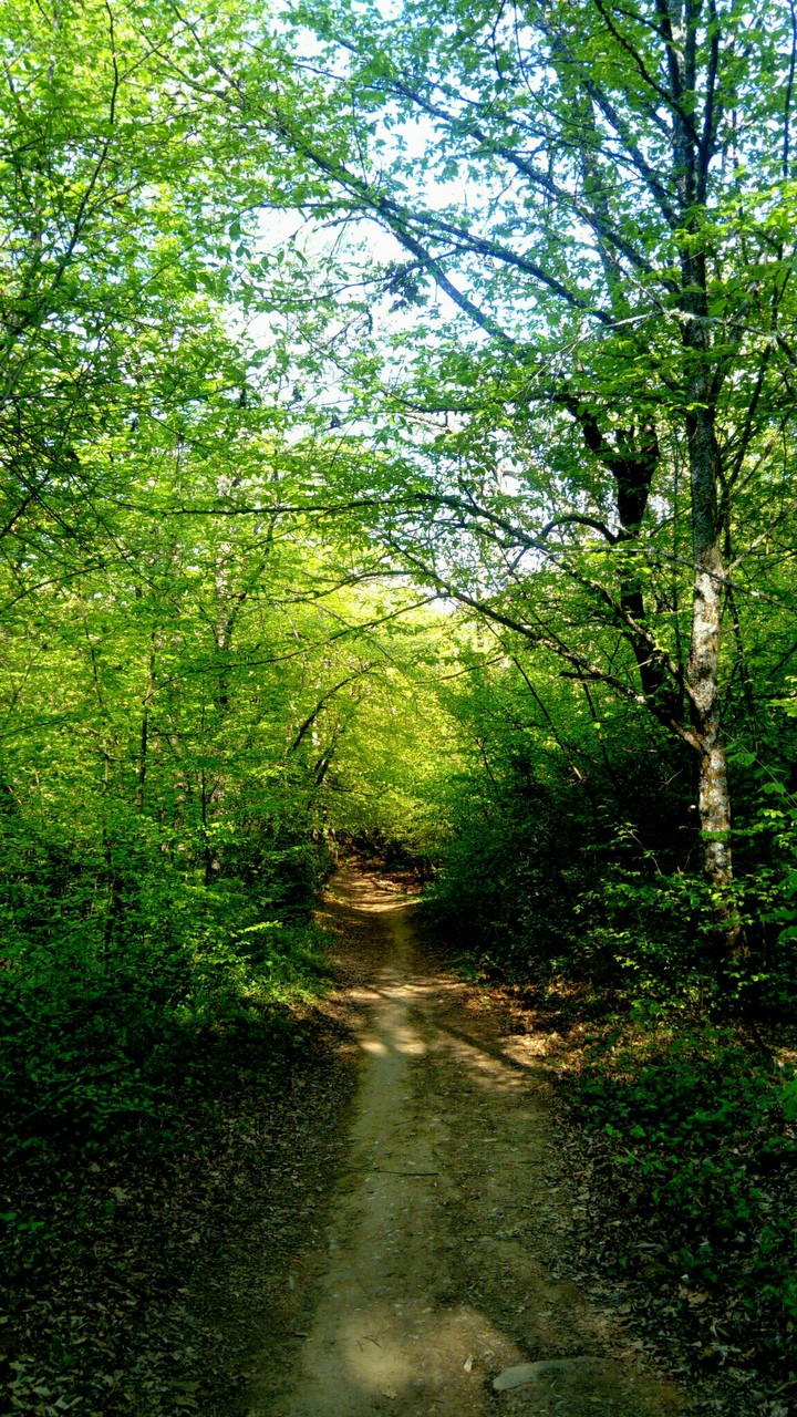la nature