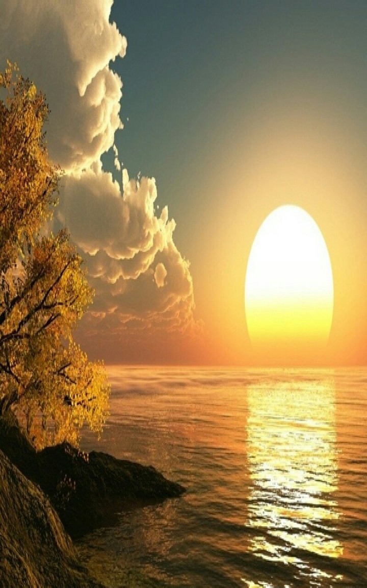 nature