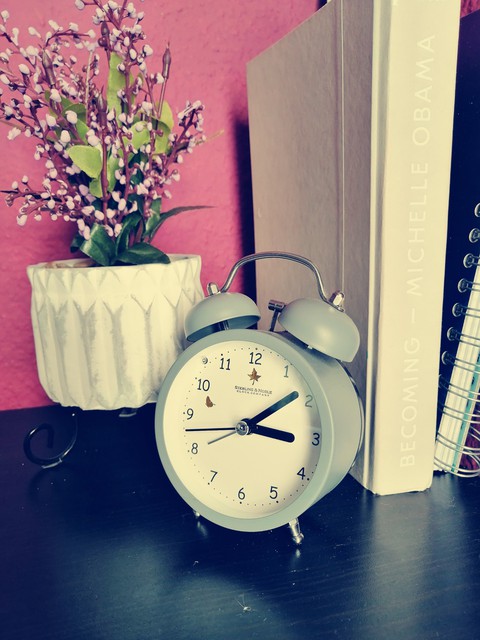 Time flies