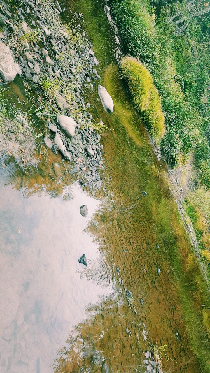 water