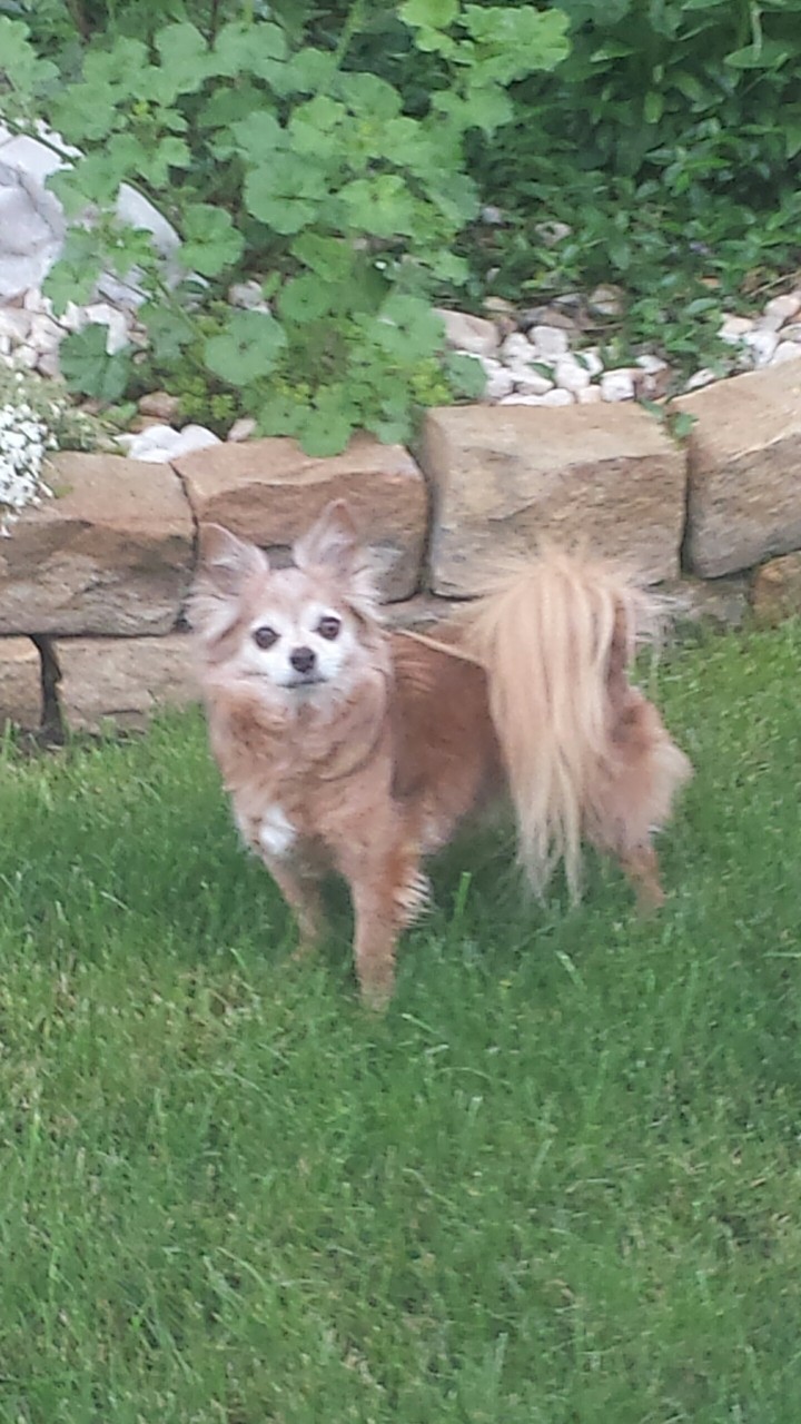my beautiful baby boy