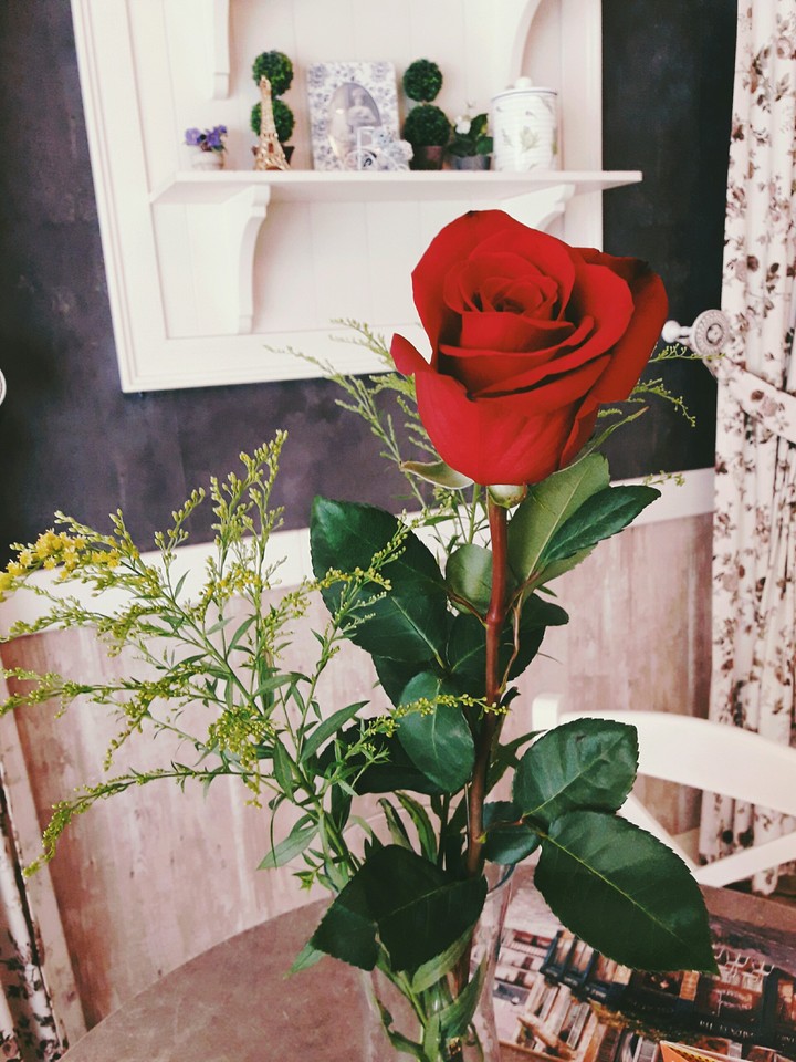 flowers