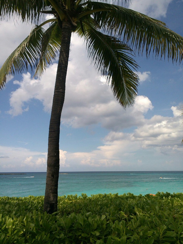 Bahamas.