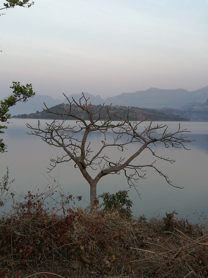 nature