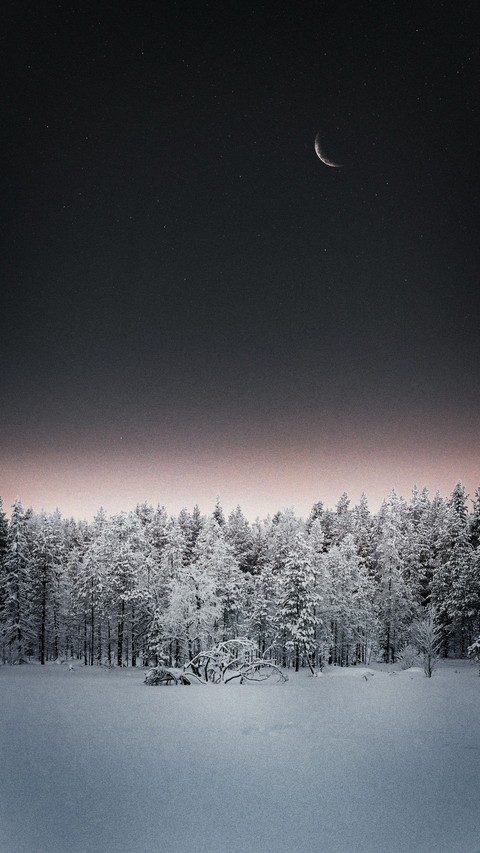 обои moon, snow