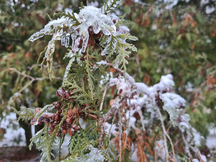 winter