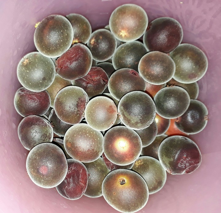 Fruits