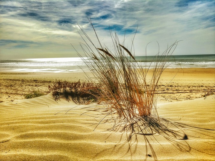 île d'Oléron- France