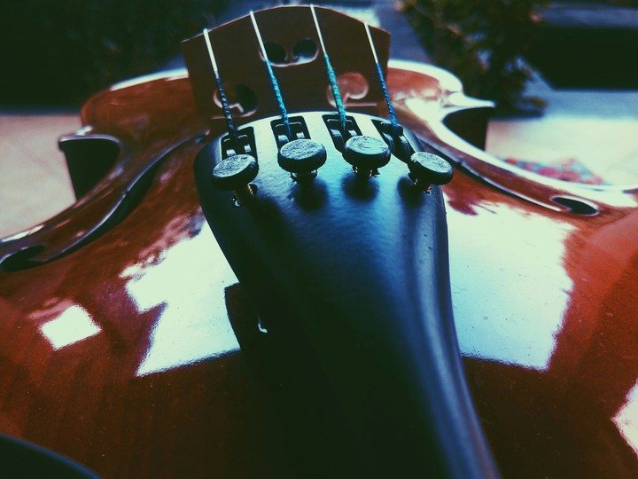 violin?