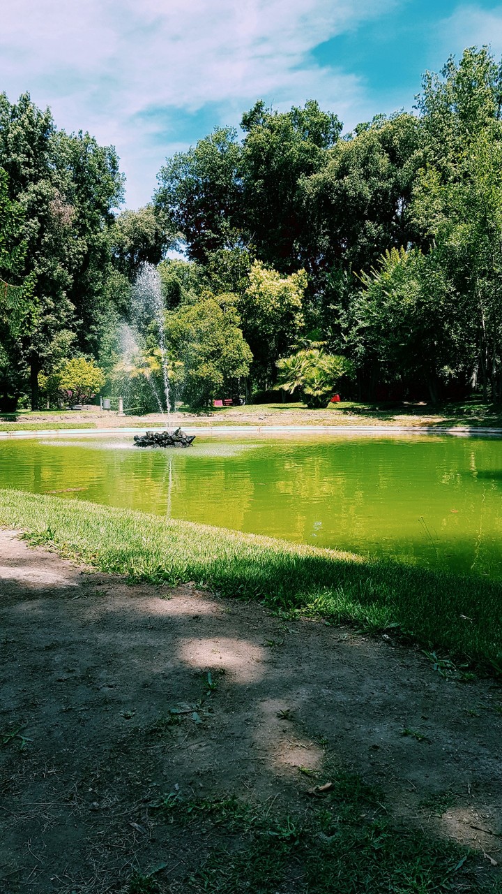 #Nature